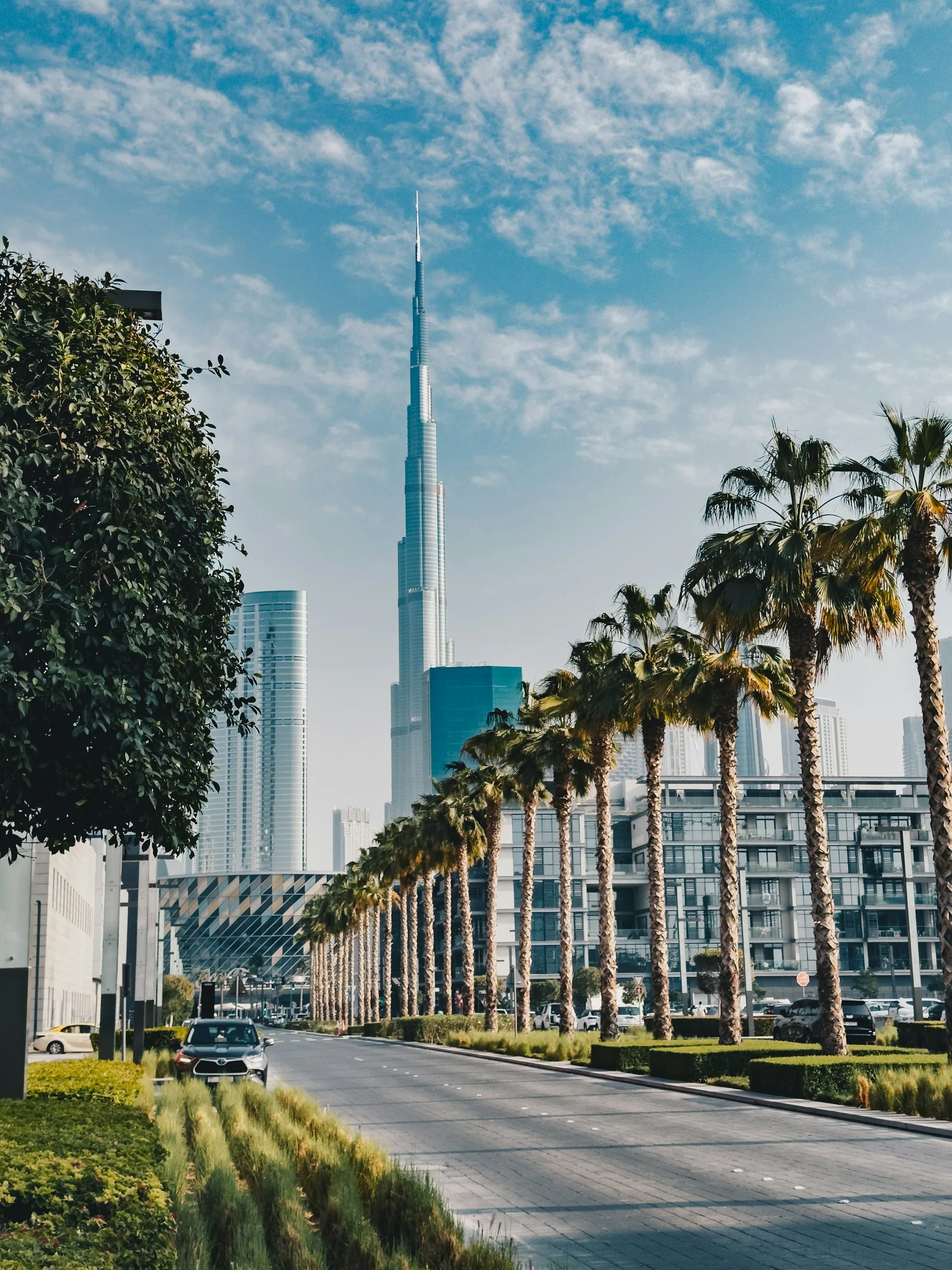 Palm-lined street leading to the Burj Khalifa